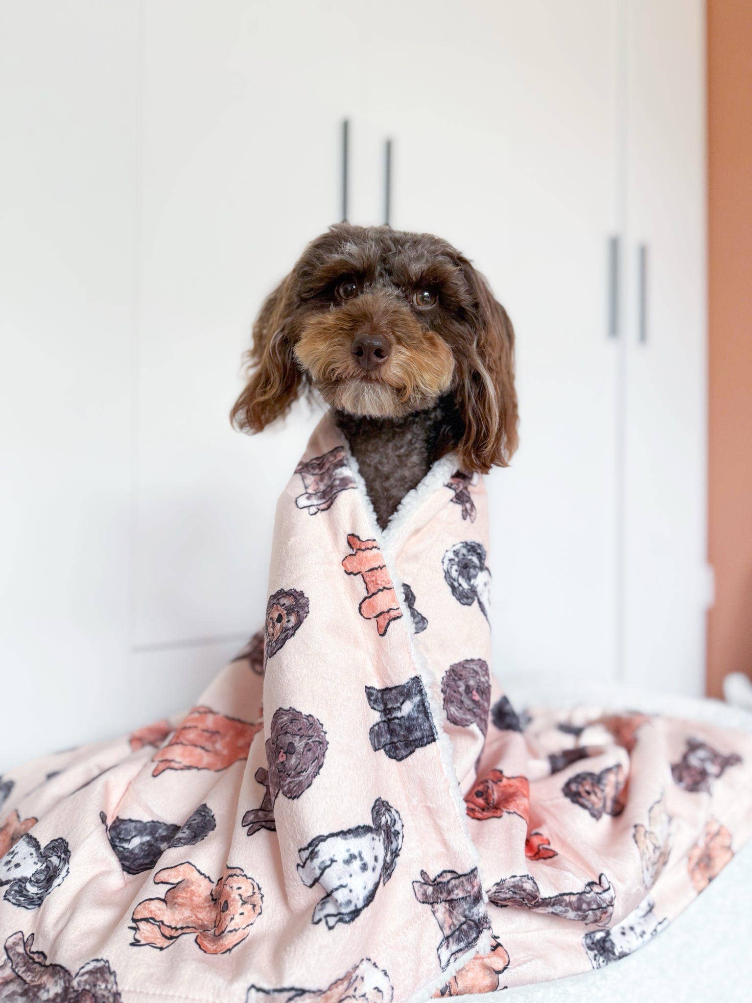The Oodles & Doodles Dog Blanket - Image 9