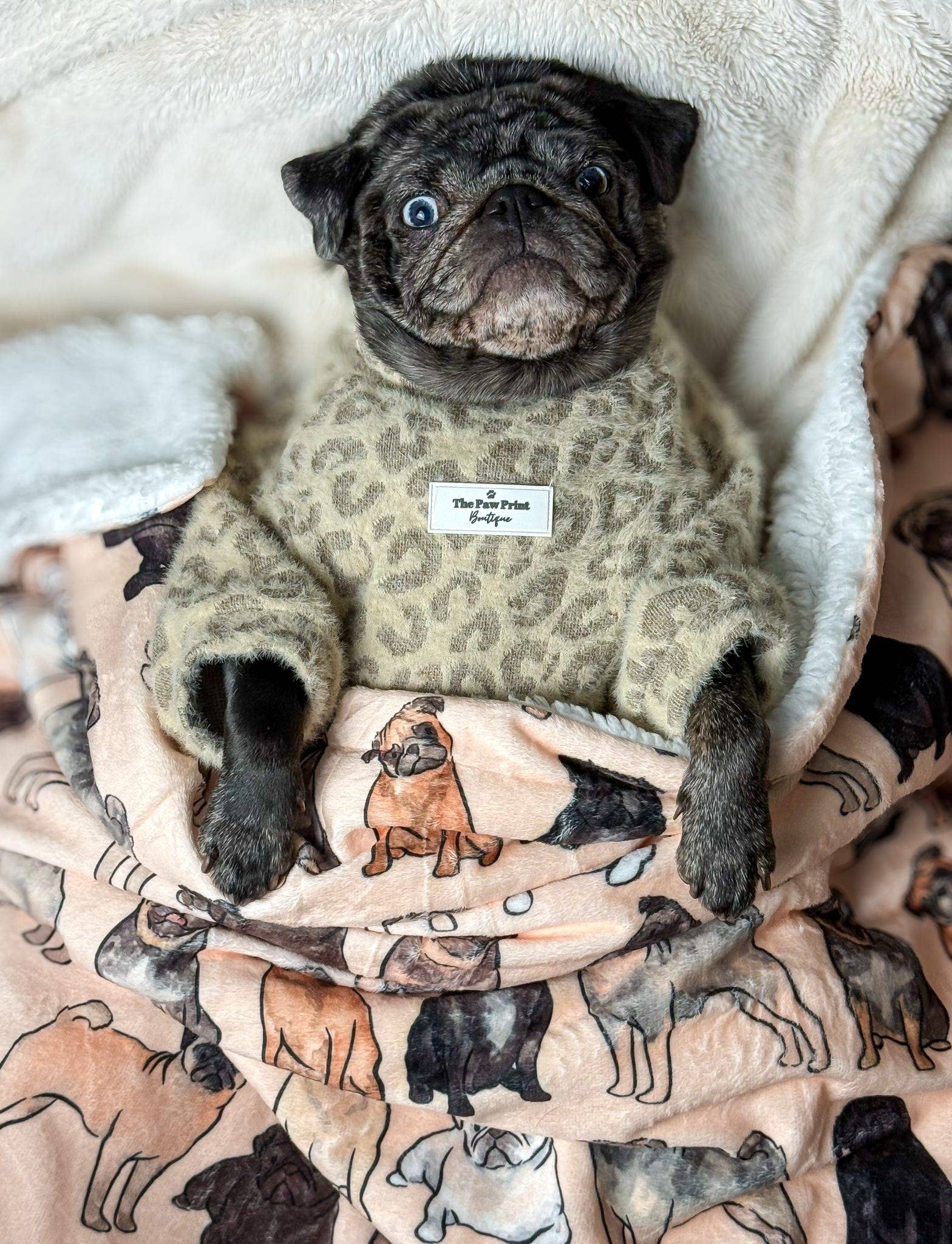The Pug Dog Blanket - Image 10