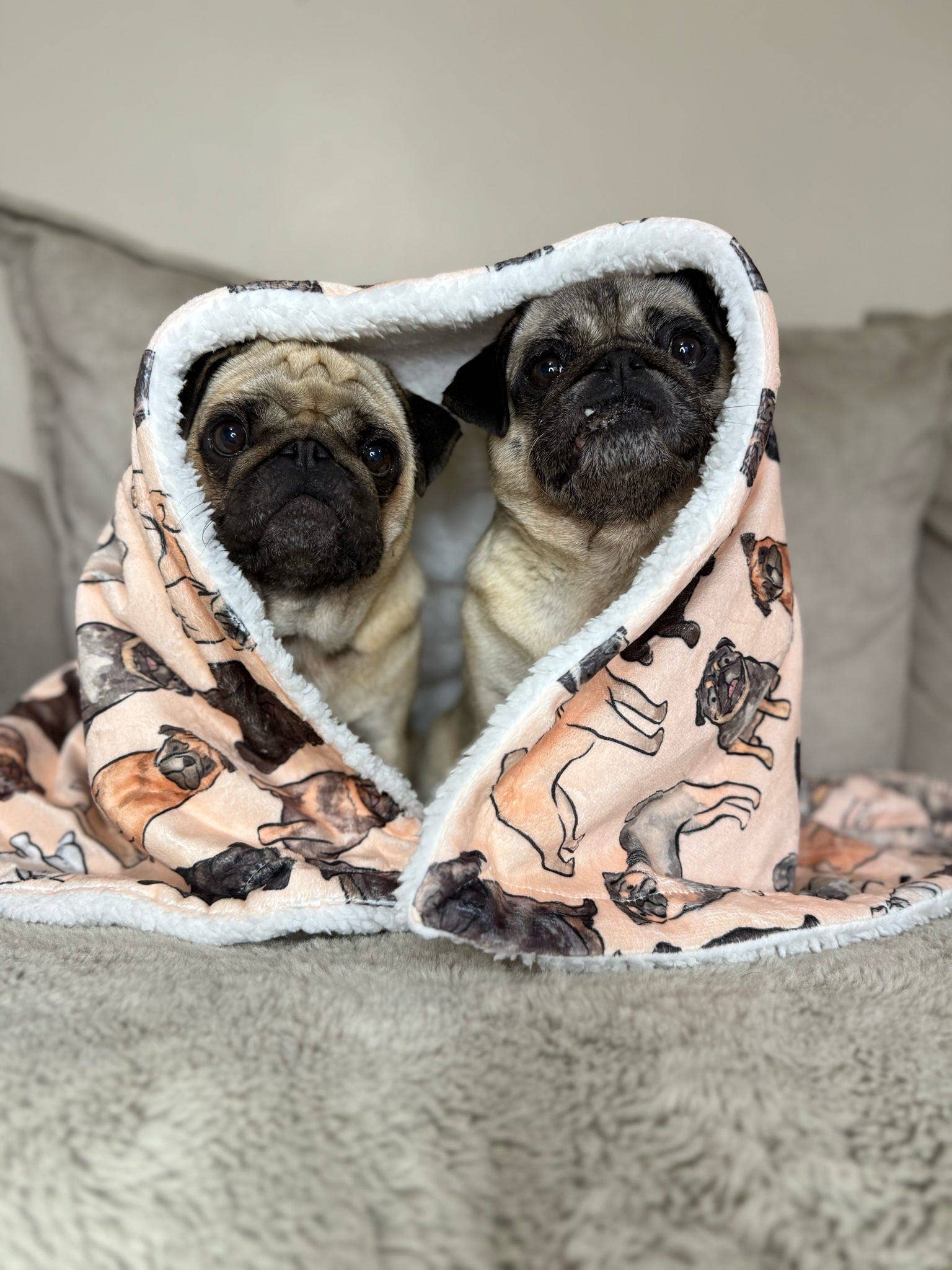 The Pug Dog Blanket - Image 11