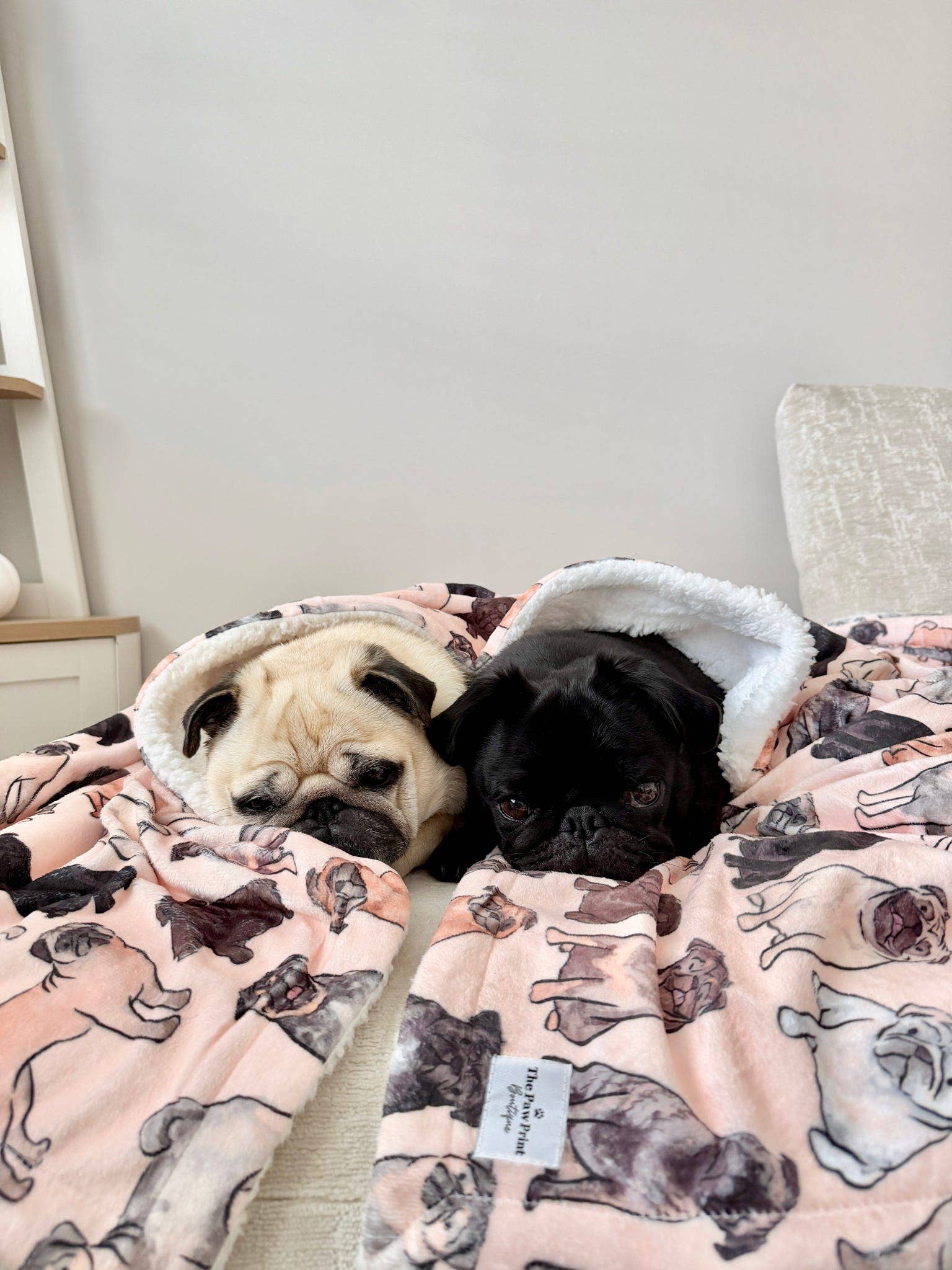 The Pug Dog Blanket - Image 12
