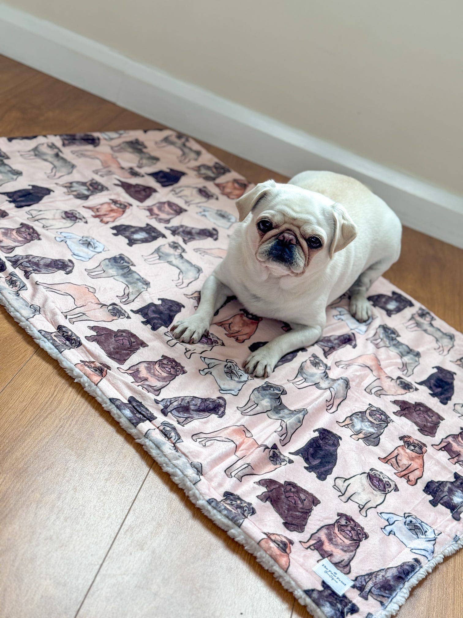 The Pug Dog Blanket - Image 4