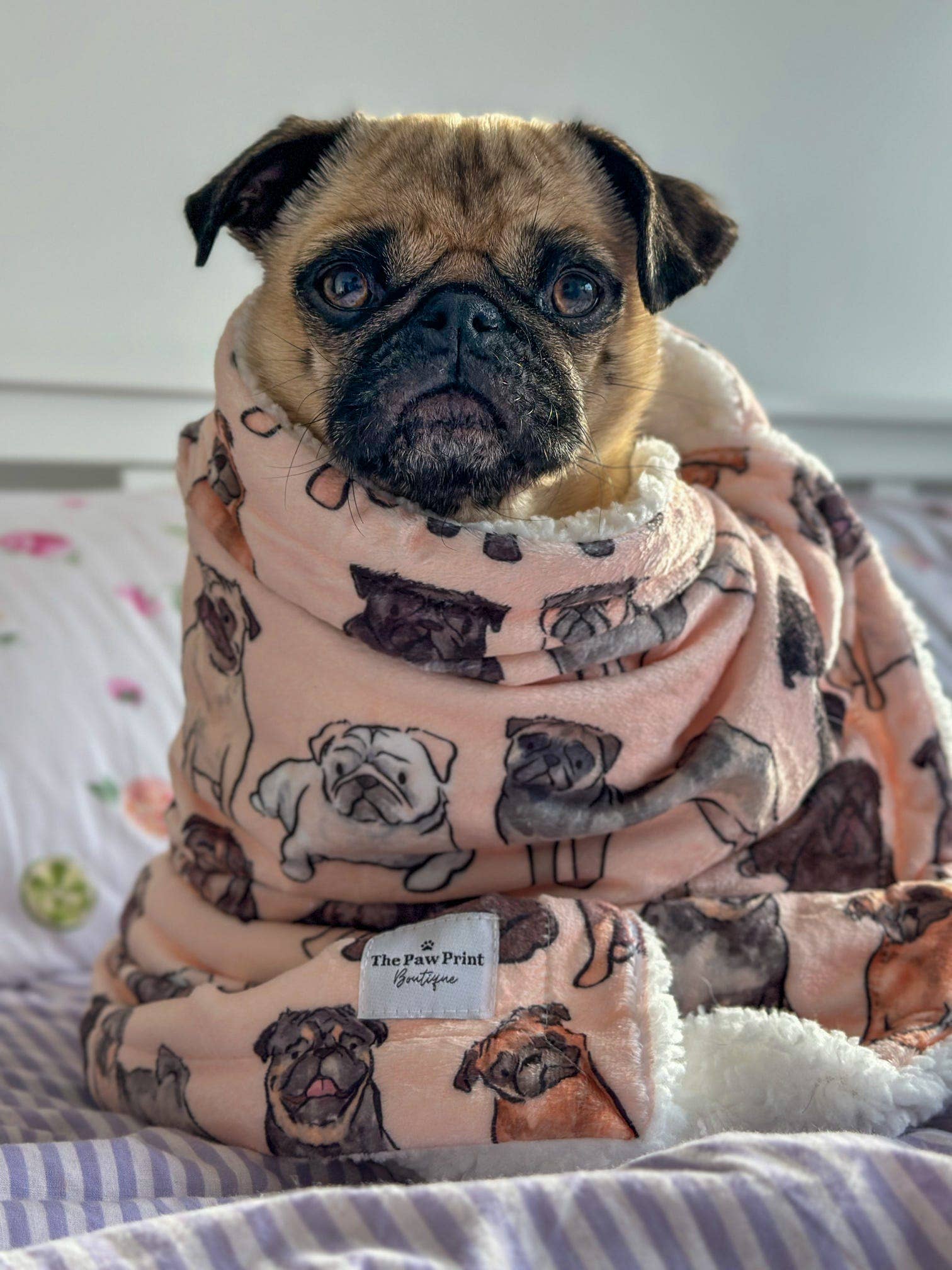 The Pug Dog Blanket - Image 5
