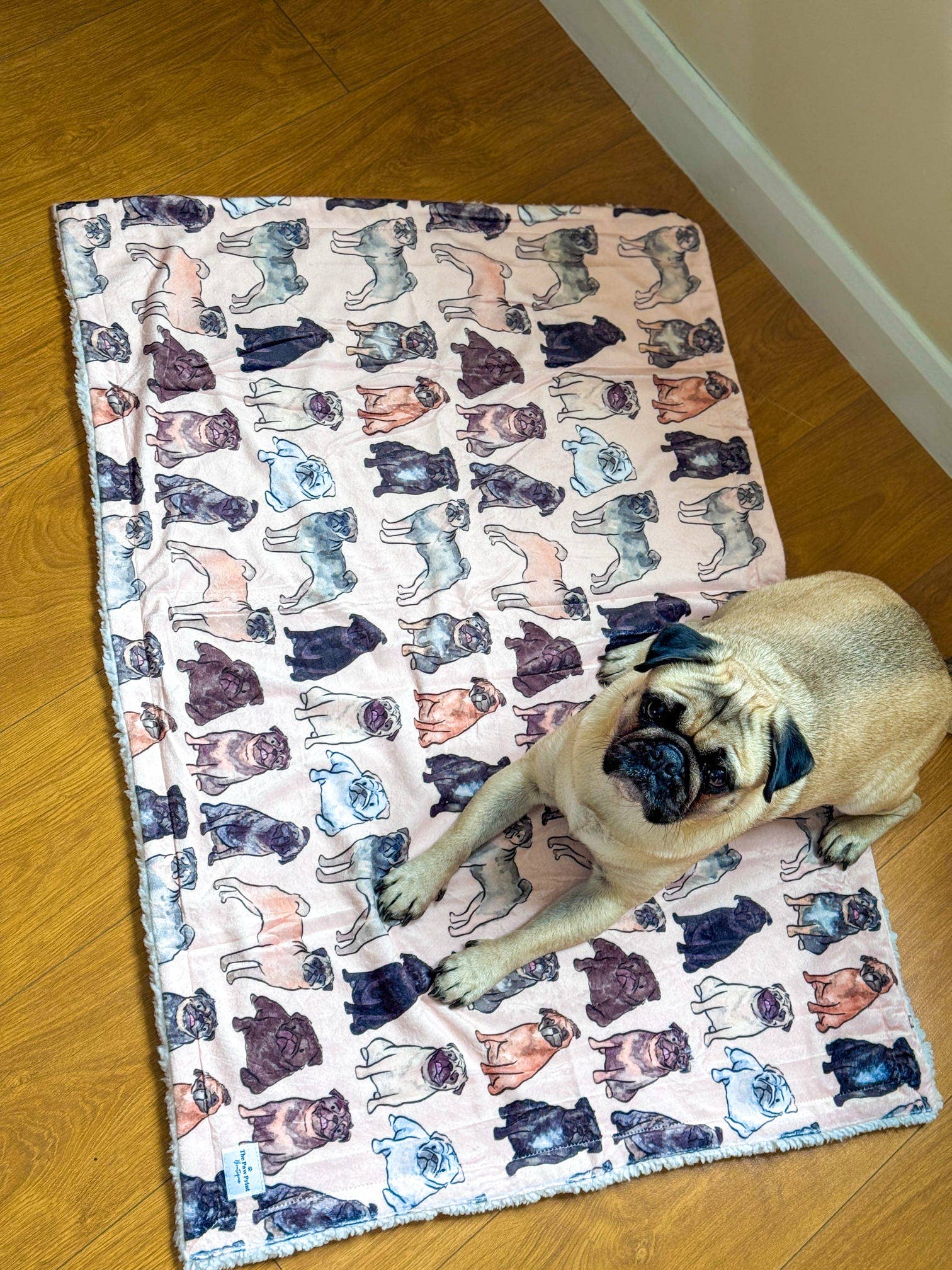 The Pug Dog Blanket - Image 6