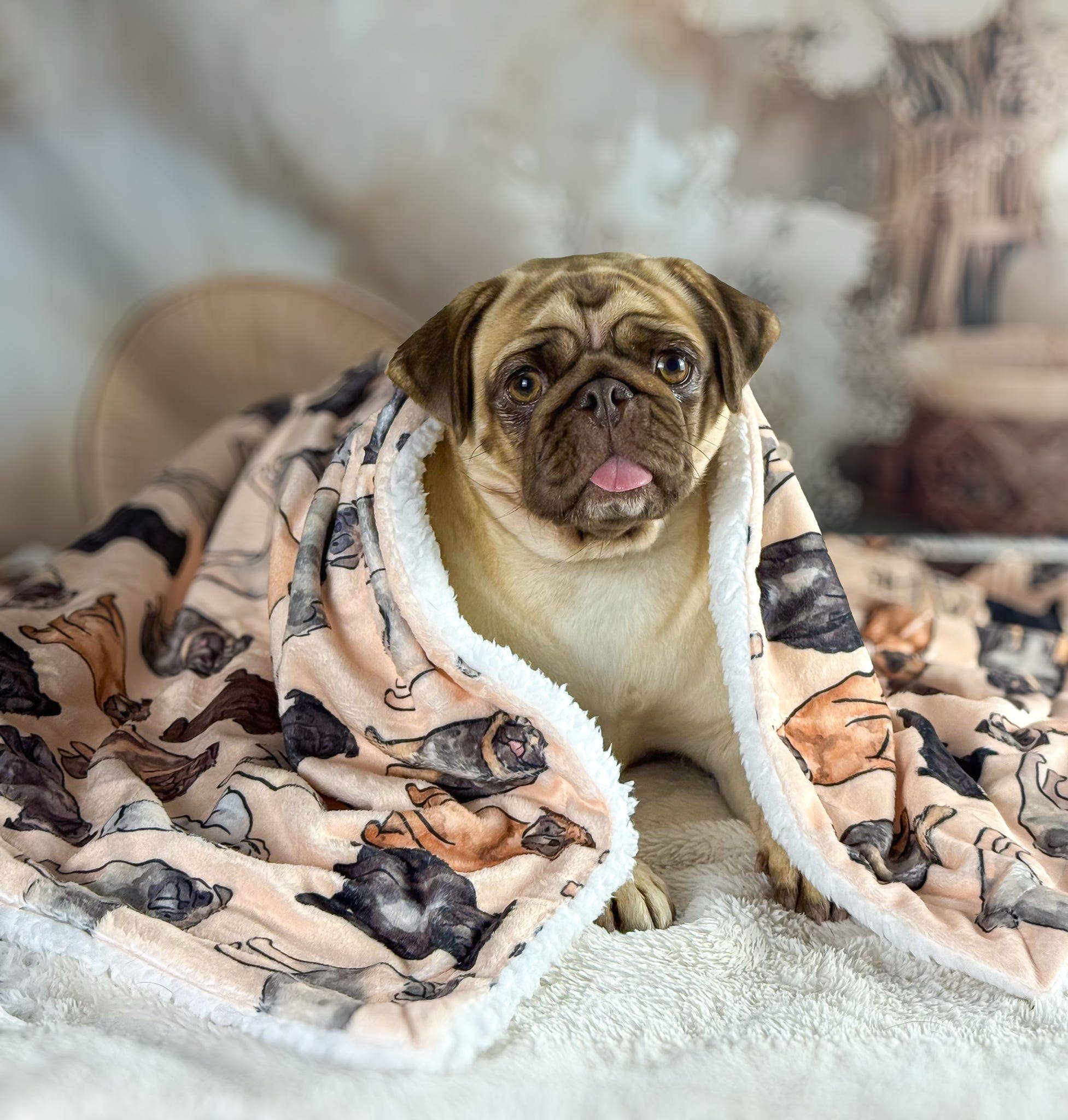 The Pug Dog Blanket - Image 8