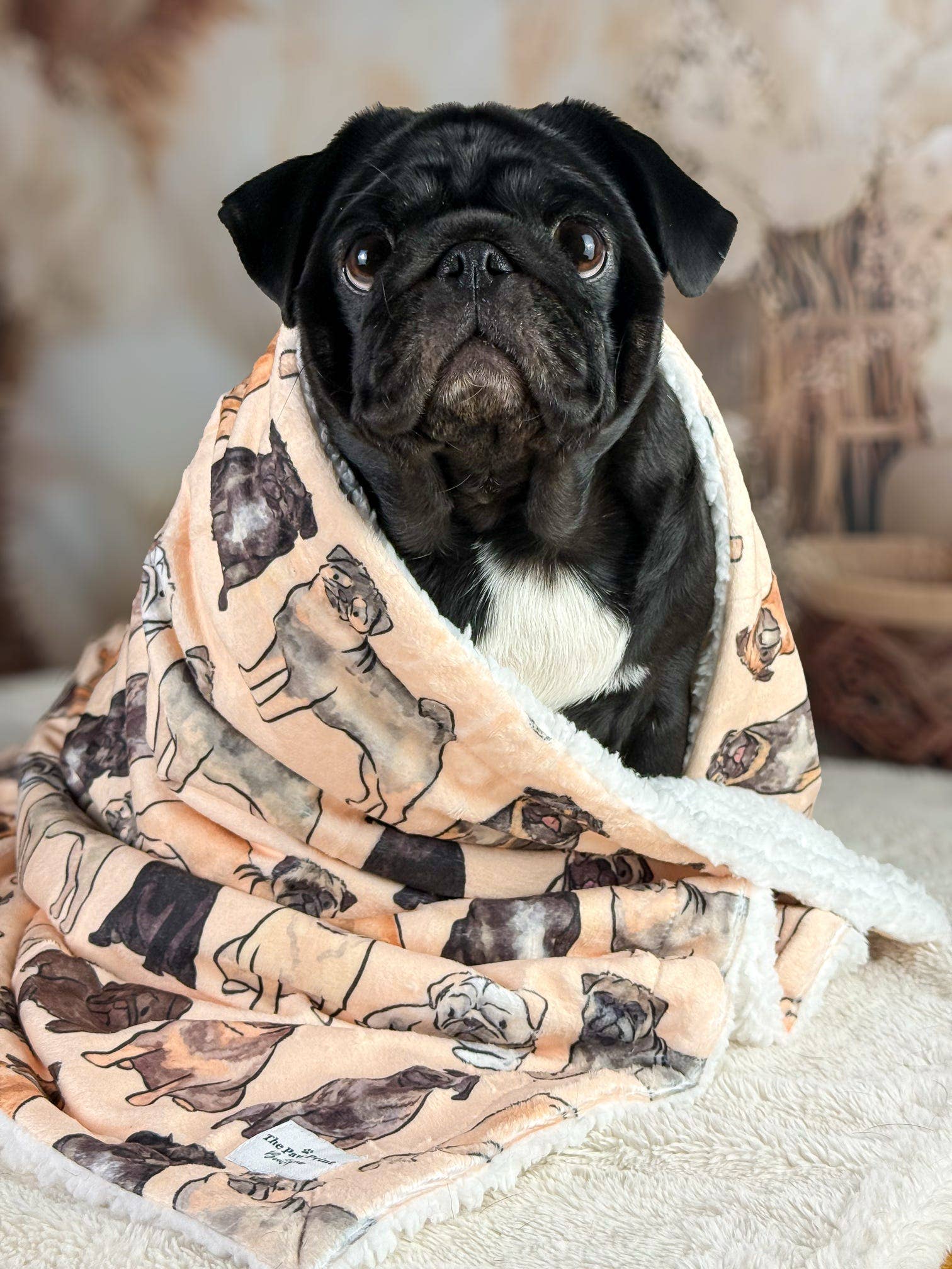 The Pug Dog Blanket - Image 9