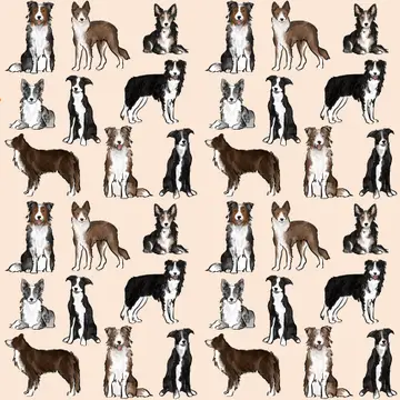 The Border Collie Dog Walking Bag - Image 4