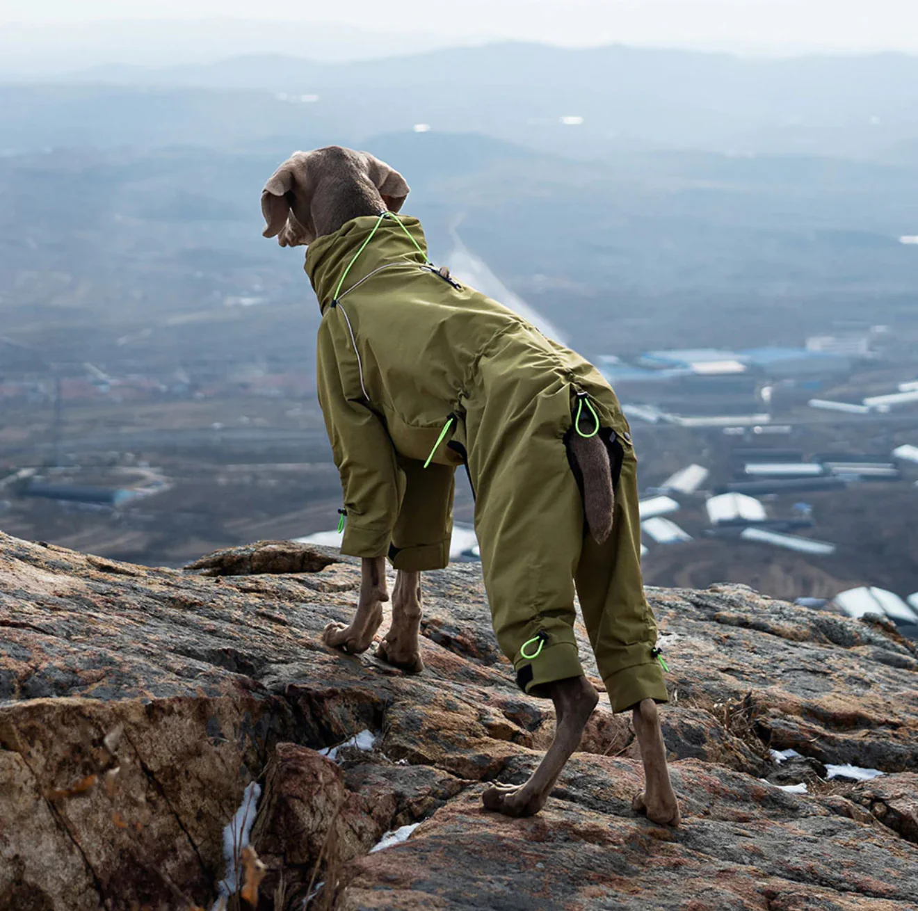 THERMALUXE FLEECE LINED DOG SUIT - Image 2