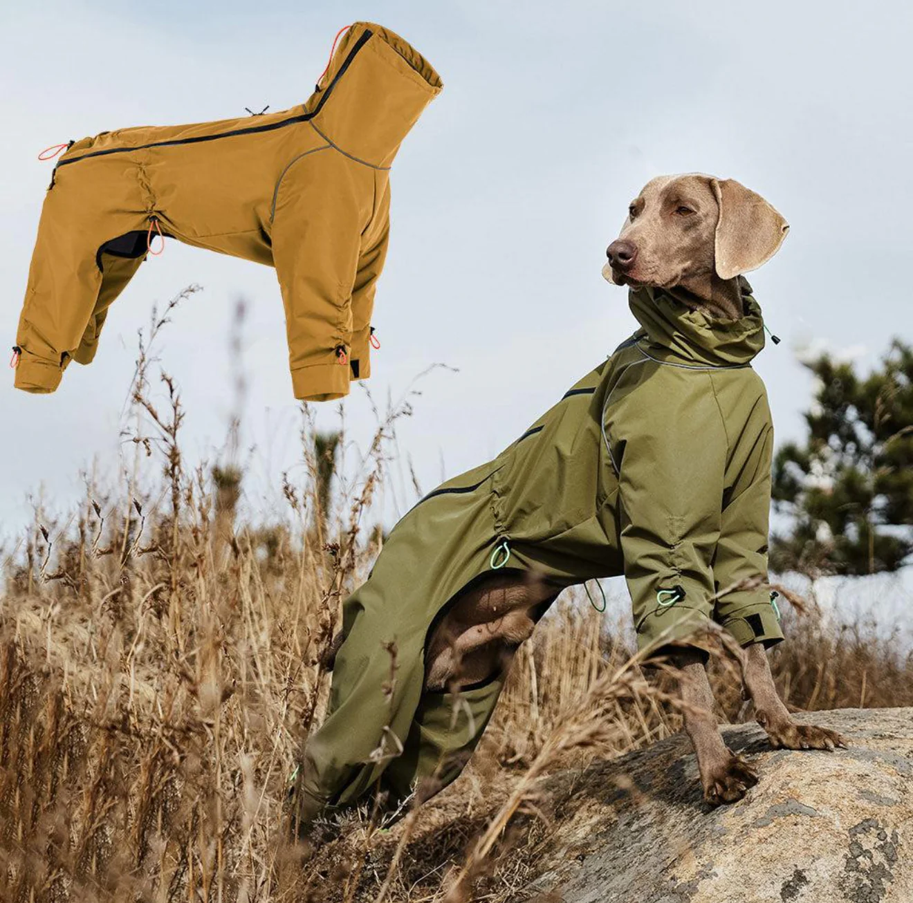 THERMALUXE FLEECE LINED DOG SUIT - Image 3
