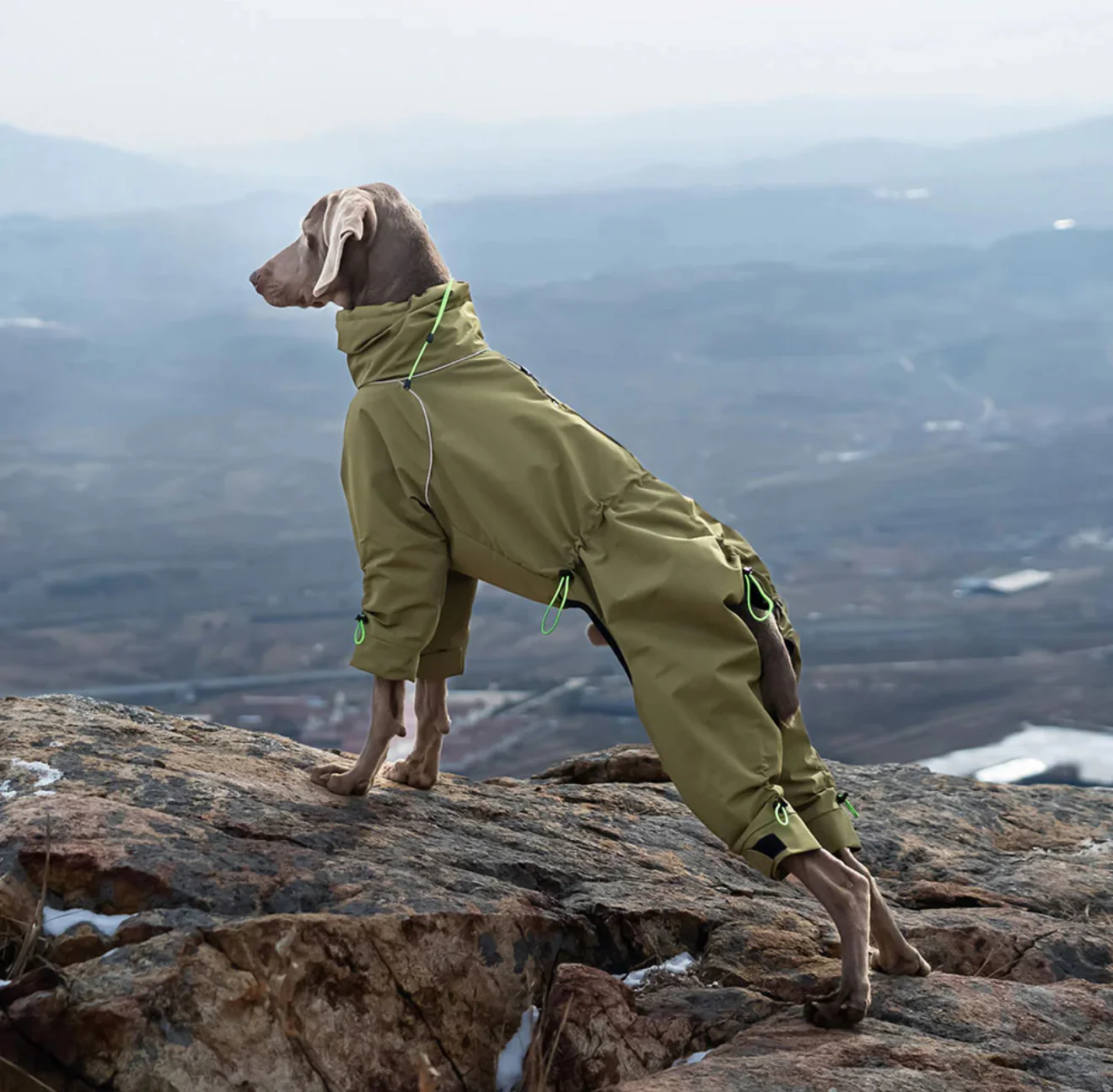 THERMALUXE FLEECE LINED DOG SUIT - Image 5