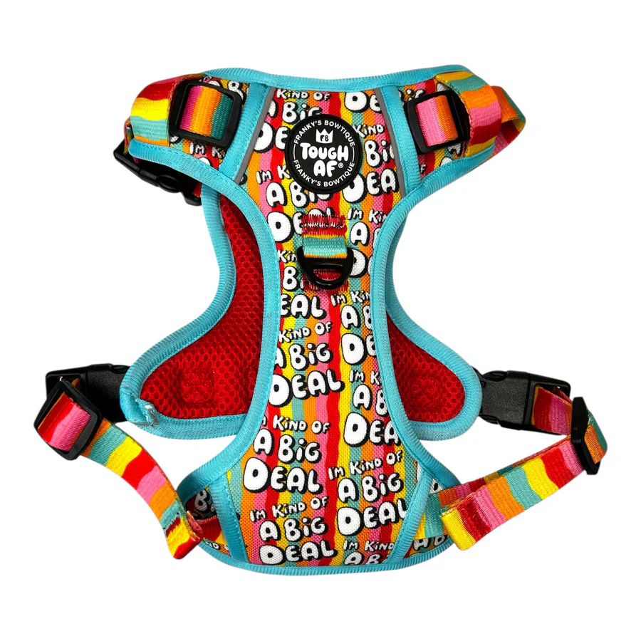 Tough AF® Harness - I'm kind of a big deal - Image 2