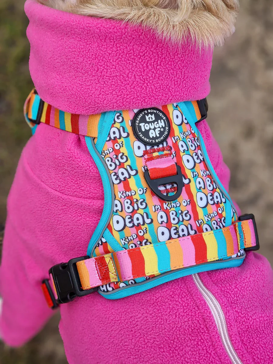 Tough AF® Harness - I'm kind of a big deal - Image 3