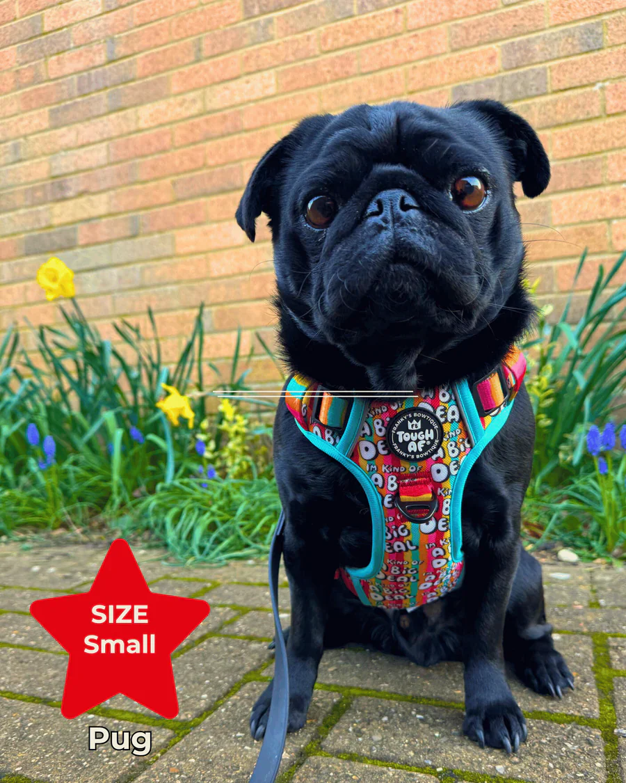 Tough AF® Harness - I'm kind of a big deal - Image 6