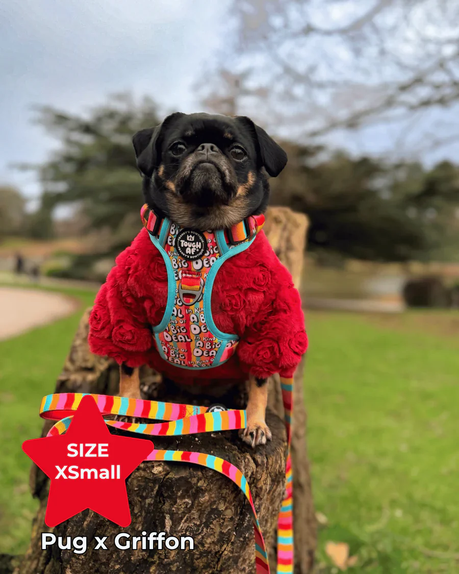 Tough AF® Harness - I'm kind of a big deal - Image 7