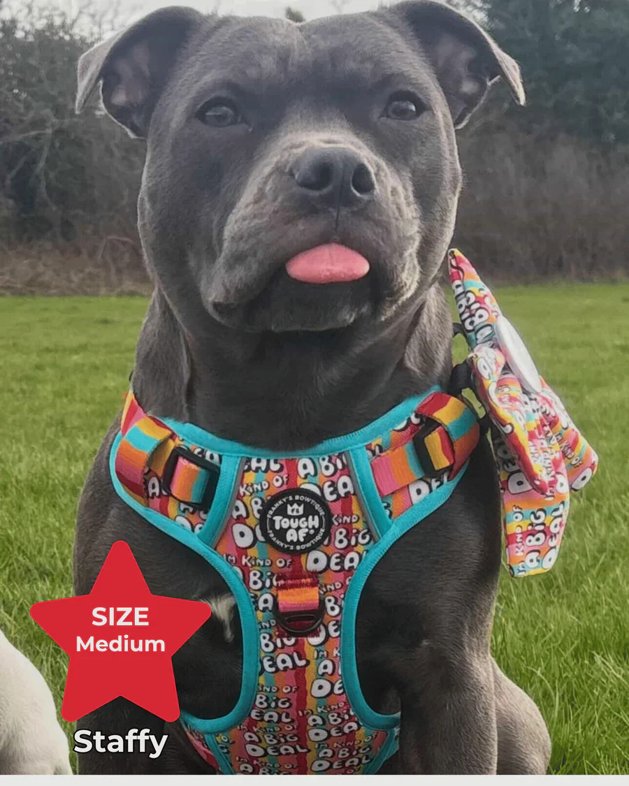 Tough AF® Harness - I'm kind of a big deal - Image 8