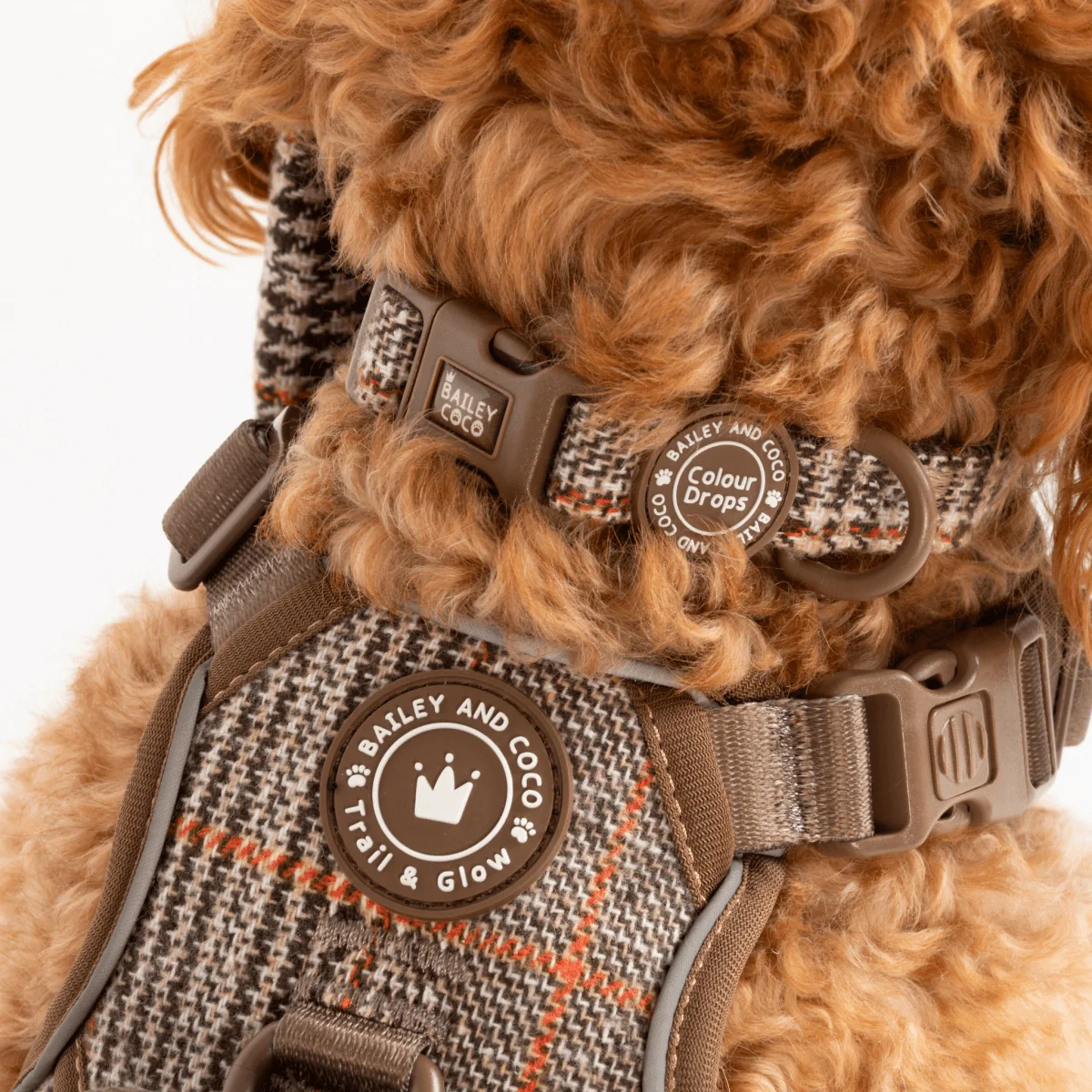 Bailey And Coco Adjustable Collar - Colour Drops - Heritage Plaid - Image 3