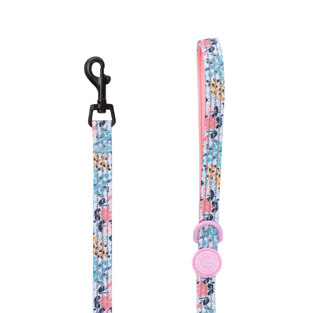 Bailey and Coco Trail & Glow Lightweight Mini Dog Lead 5ft - Colour Drops - Spring Dreams