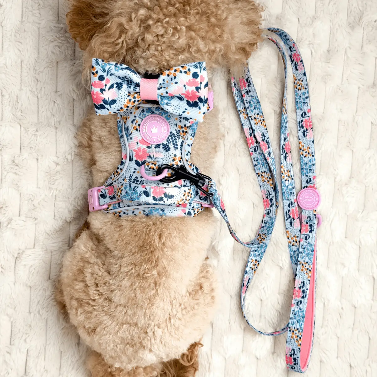 Bailey and Coco Trail & Glow Lightweight Mini Dog Lead 5ft - Colour Drops - Spring Dreams - Image 2