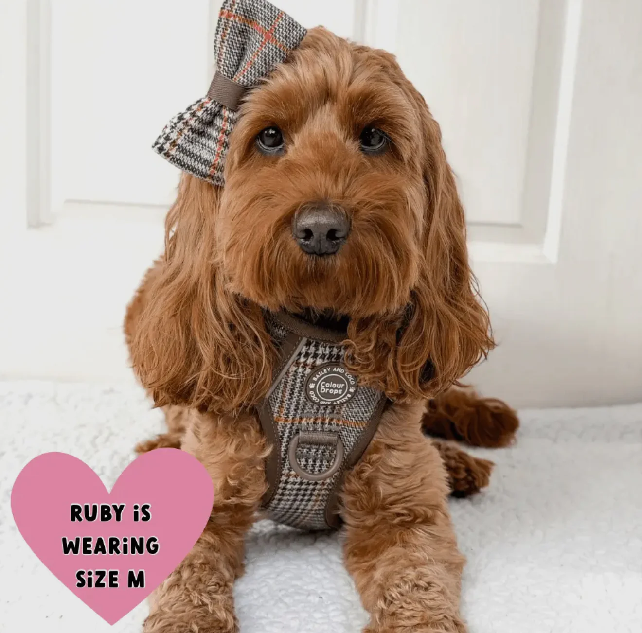 Trail & Glow - Dog Harness Bundle Set - Colour Drops - Heritage Plaid - Image 4