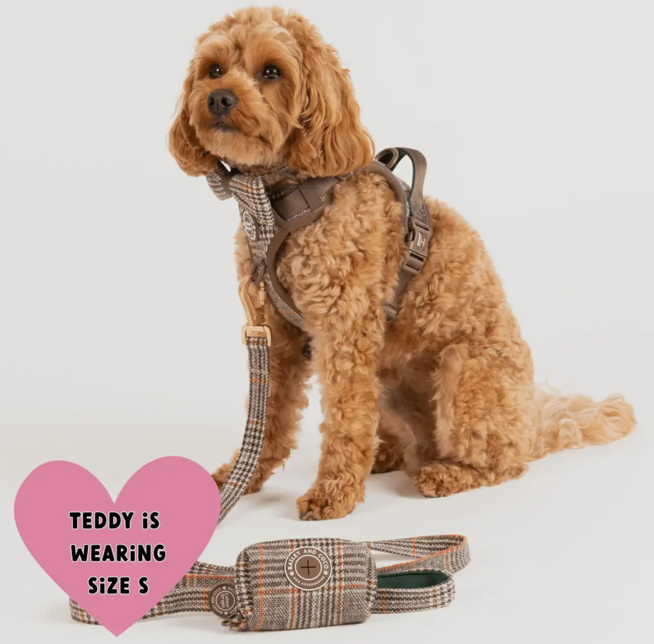 Trail & Glow - Dog Harness Bundle Set - Colour Drops - Heritage Plaid - Image 6