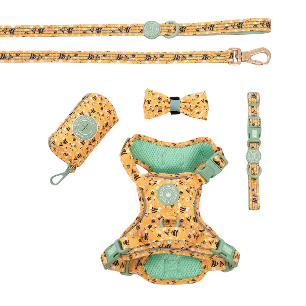 Trail & Glow Dog Harness Bundle Set - Colour Drops - Wanna-Bee: L / L