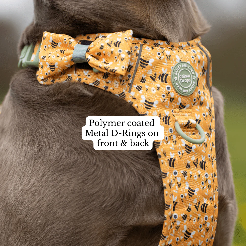 Trail & Glow Dog Harness Bundle Set - Colour Drops - Wanna-Bee: L / L - Image 6