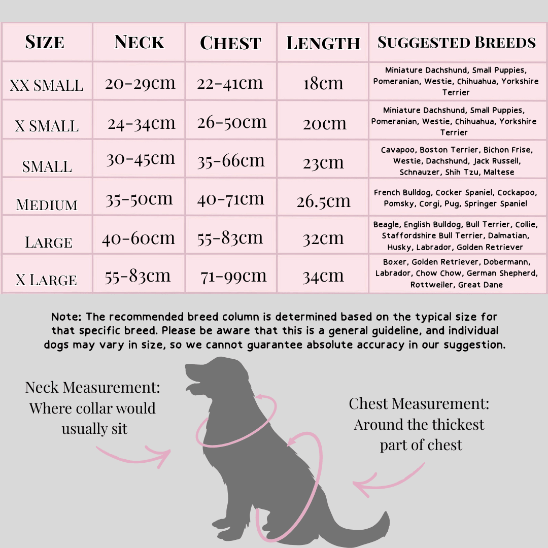 Trail & Glow Dog Harness Bundle Set - Colour Drops - Wanna-Bee: S / S - Image 7
