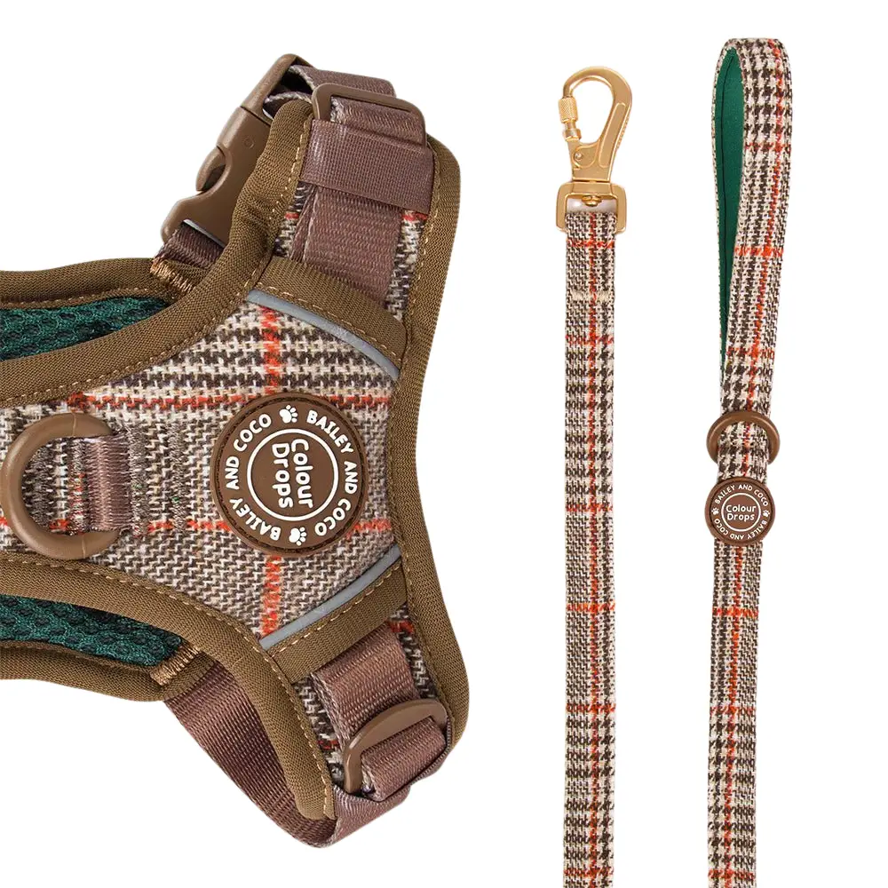 Bailey and Coco Dog Lead 5ft - Colour Drops - Heritage Plaid