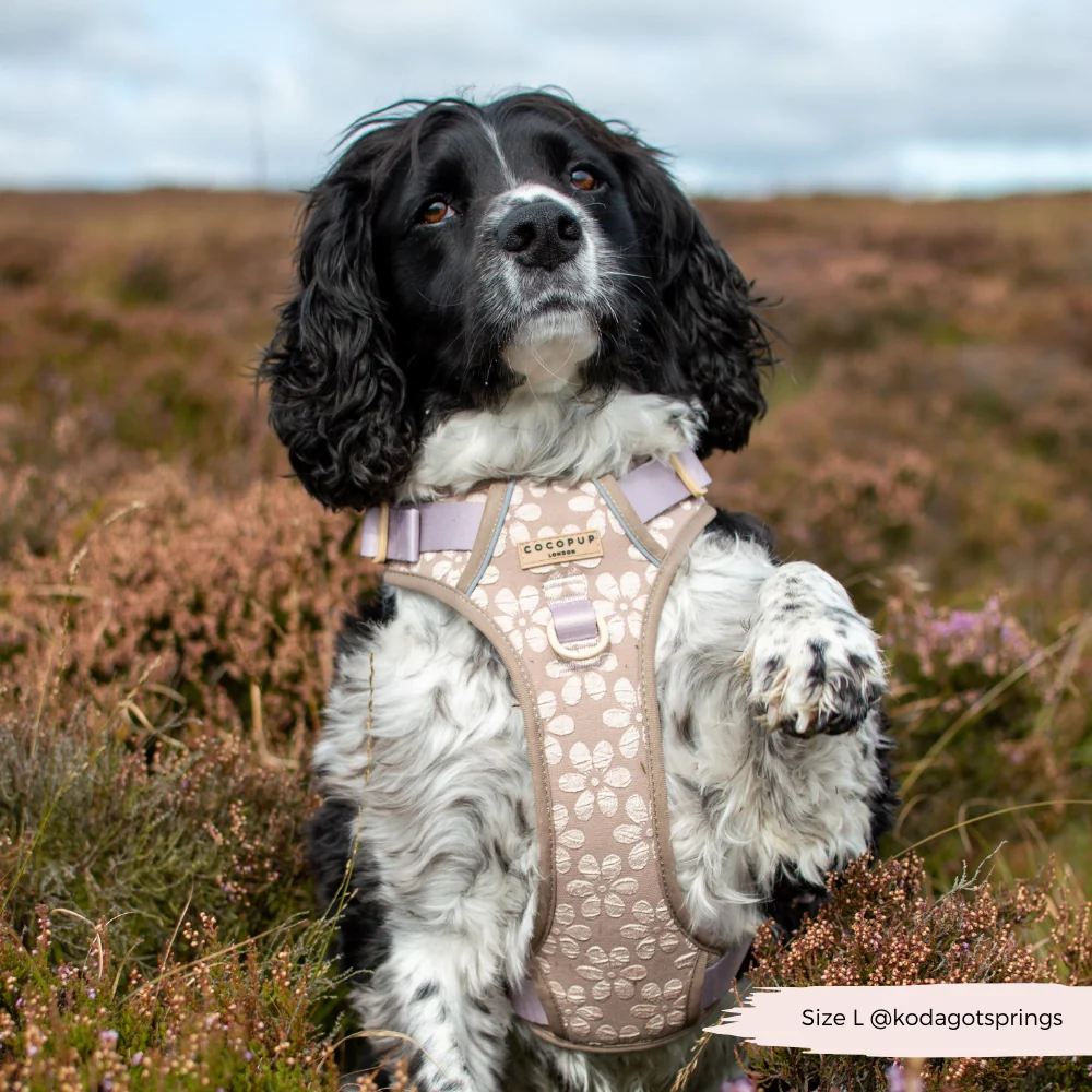 Cocopup London Explore Harness - Mocha Flower - Image 4