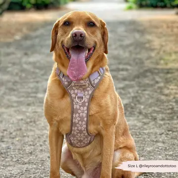 Cocopup London Explore Harness - Mocha Flower - Image 6