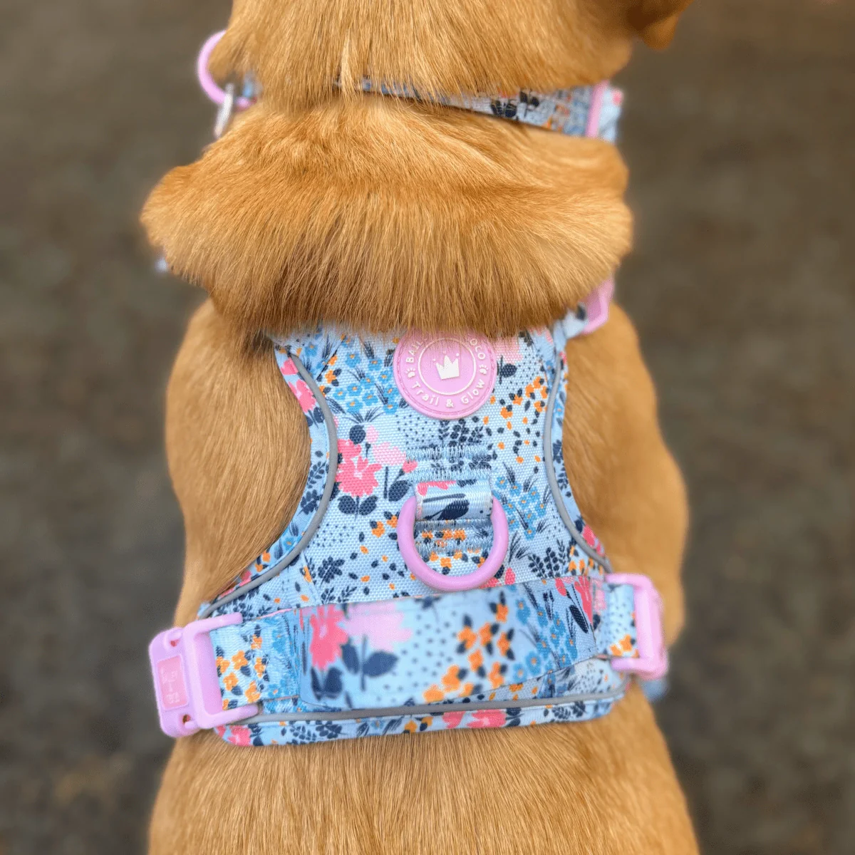 Floral Dog Harness - Colour Drops - Spring Dreams - Image 5