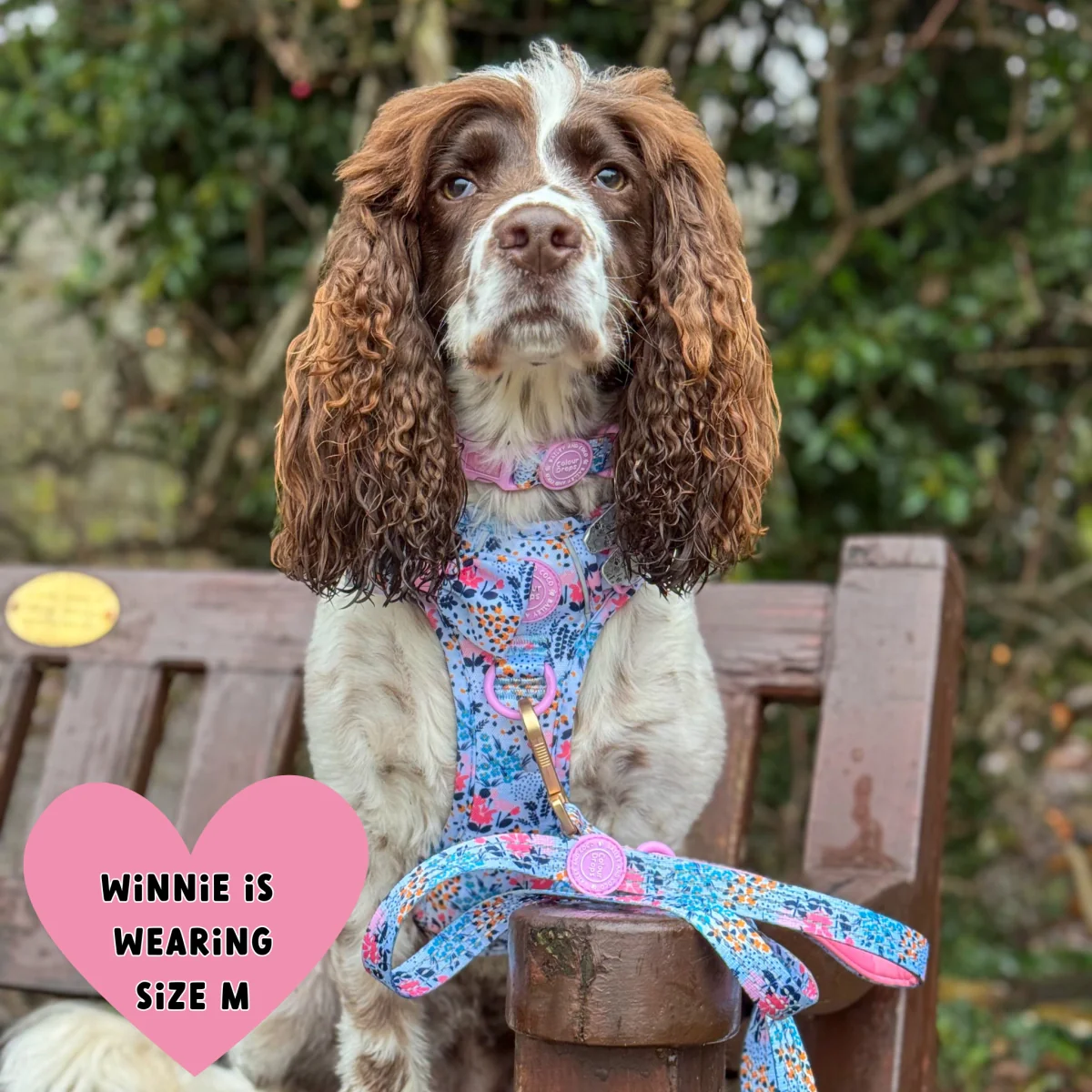 Floral Dog Harness - Colour Drops - Spring Dreams - Image 6