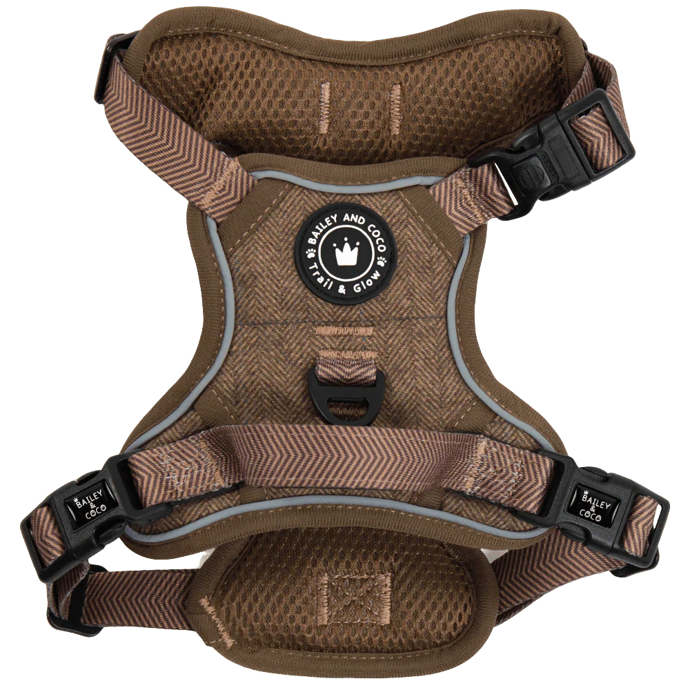 Trail & Glow Tweed Dog Harness - Oxford Tweed: S