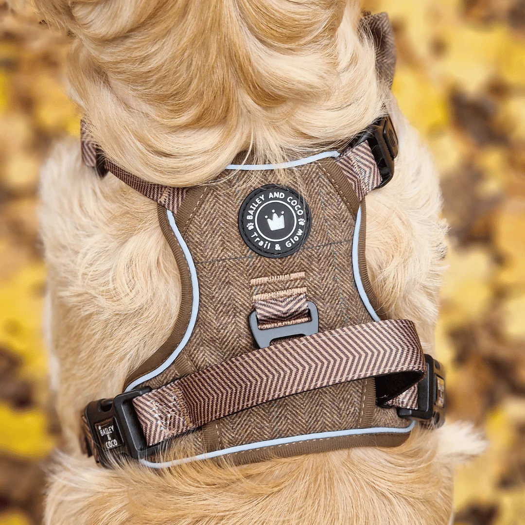 Trail & Glow Tweed Dog Harness - Oxford Tweed: S - Image 10
