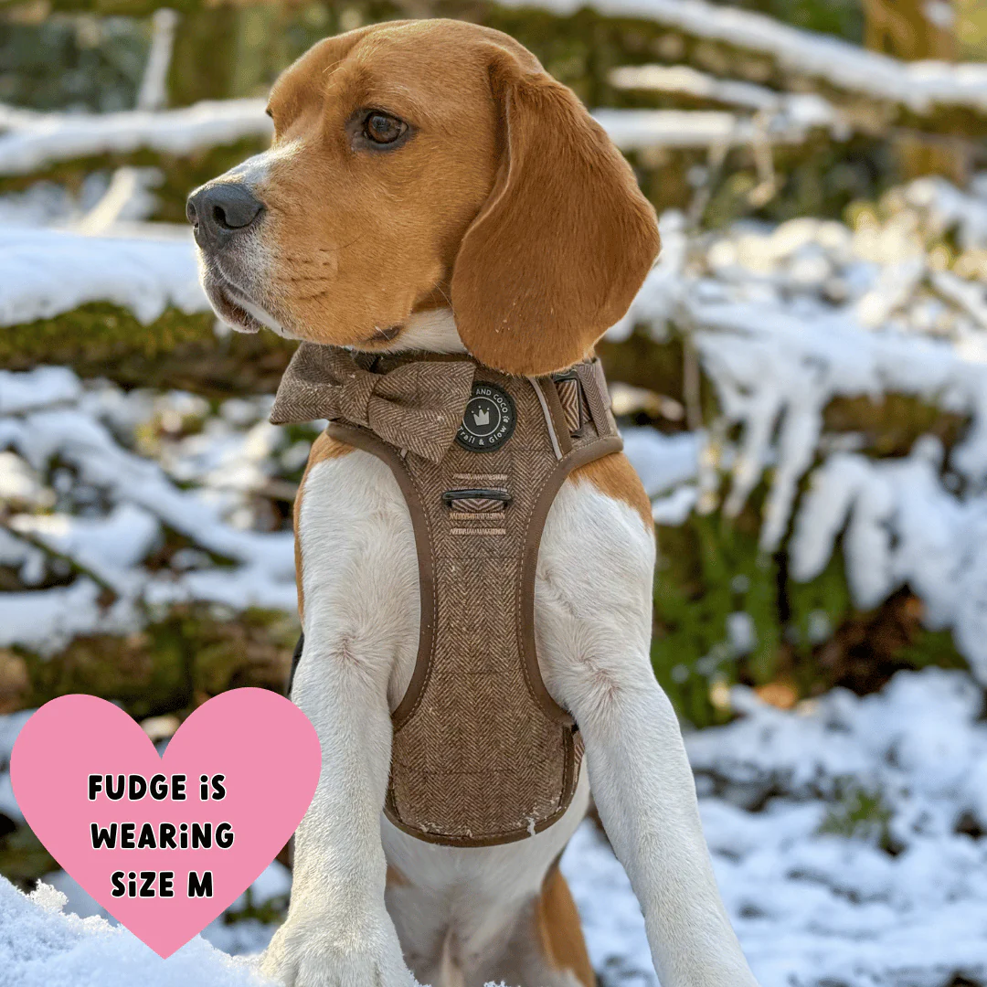 Trail & Glow Tweed Dog Harness - Oxford Tweed: S - Image 11