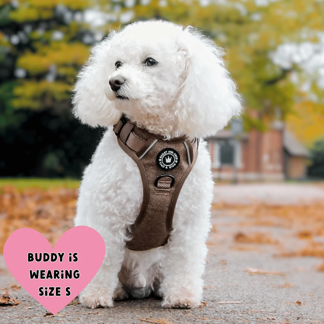 Trail & Glow Tweed Dog Harness - Oxford Tweed: S - Image 12