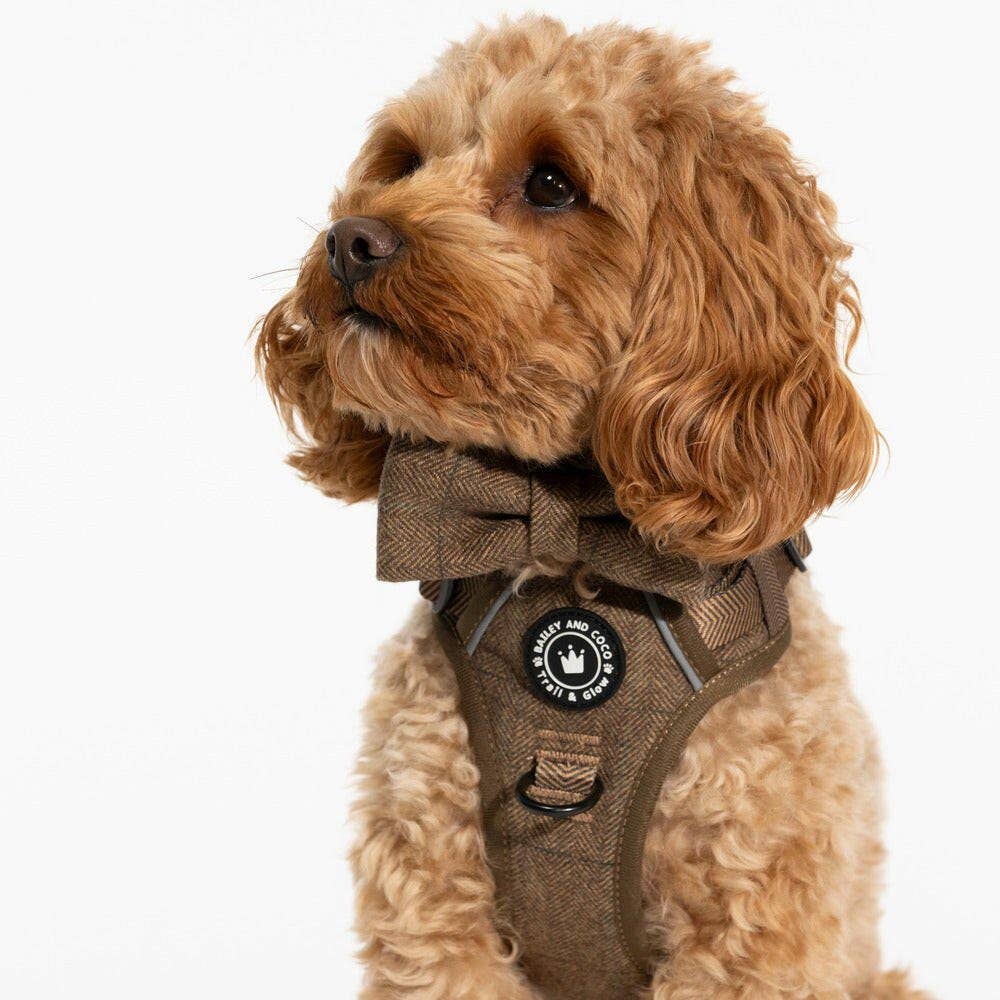 Trail & Glow Tweed Dog Harness - Oxford Tweed: S - Image 13