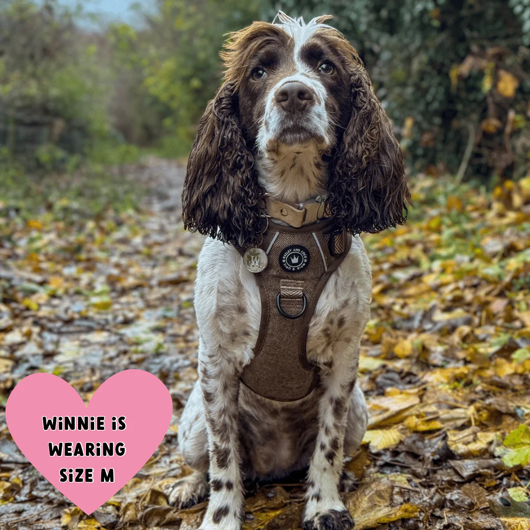 Trail & Glow Tweed Dog Harness - Oxford Tweed: S - Image 14
