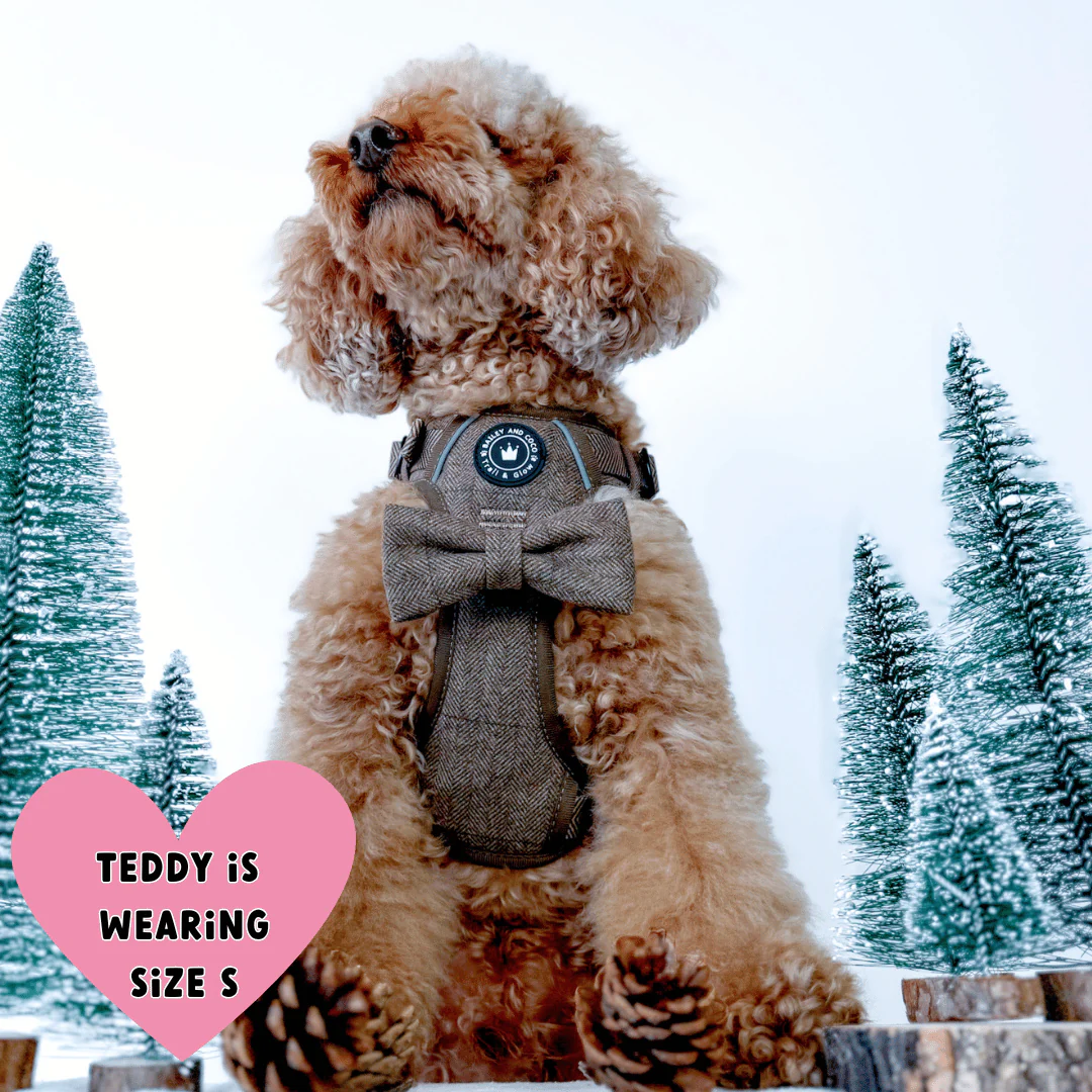 Trail & Glow Tweed Dog Harness - Oxford Tweed: S - Image 16
