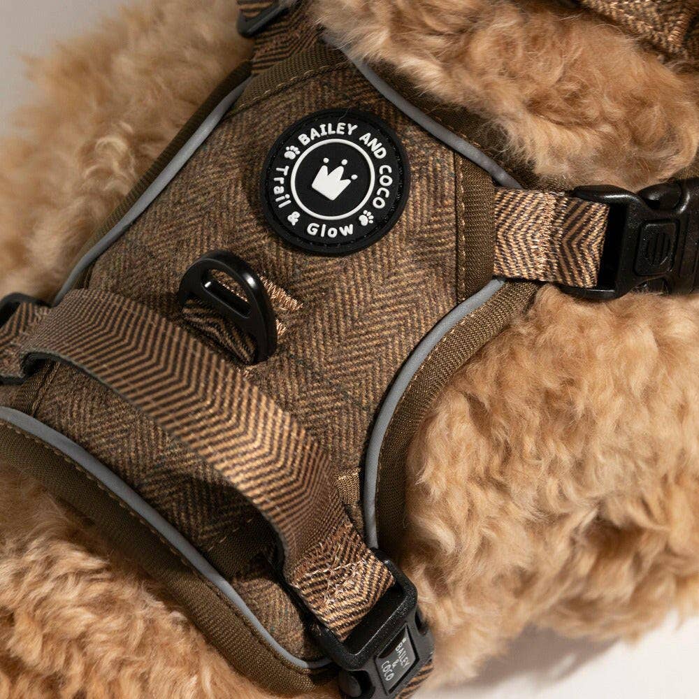 Trail & Glow Tweed Dog Harness - Oxford Tweed: S - Image 20