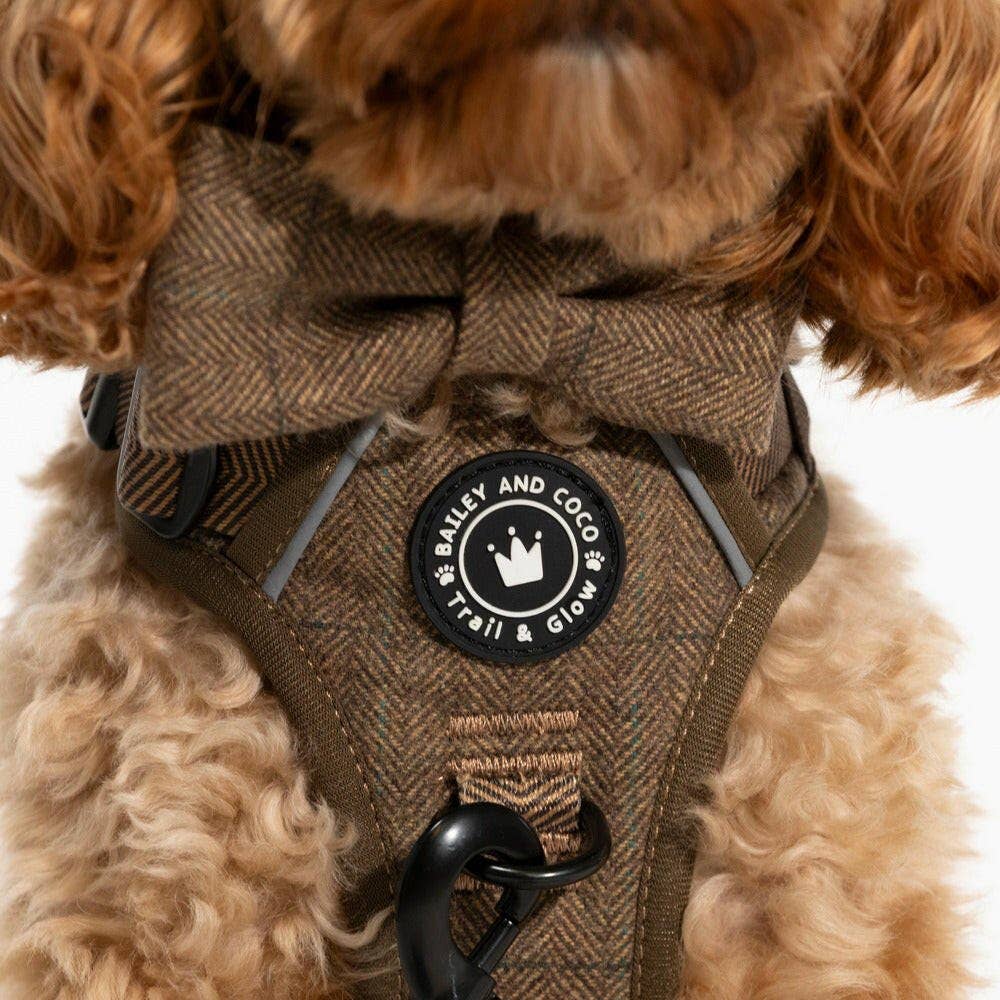 Trail & Glow Tweed Dog Harness - Oxford Tweed: S - Image 21