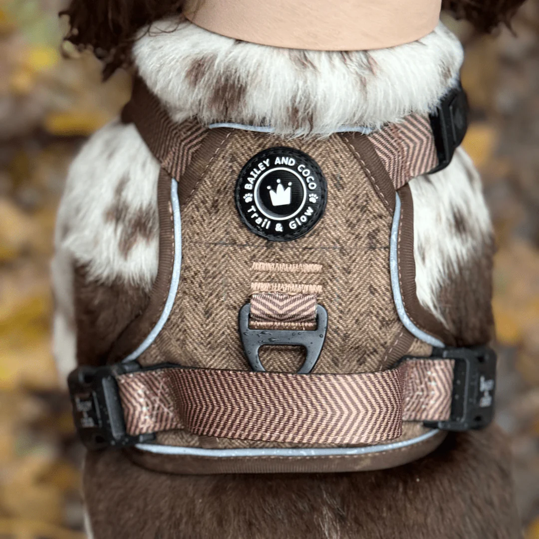 Trail & Glow Tweed Dog Harness - Oxford Tweed: S - Image 24