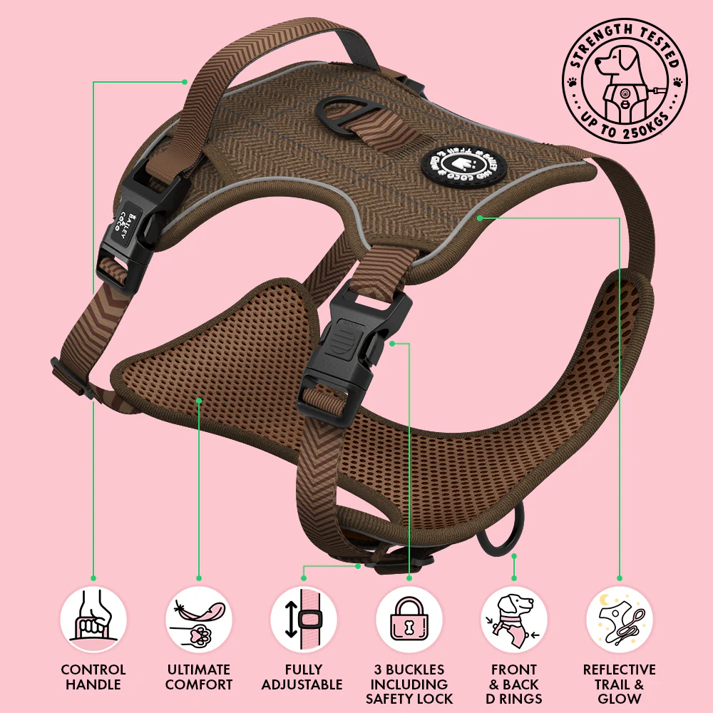 Trail & Glow Tweed Dog Harness - Oxford Tweed: S - Image 4