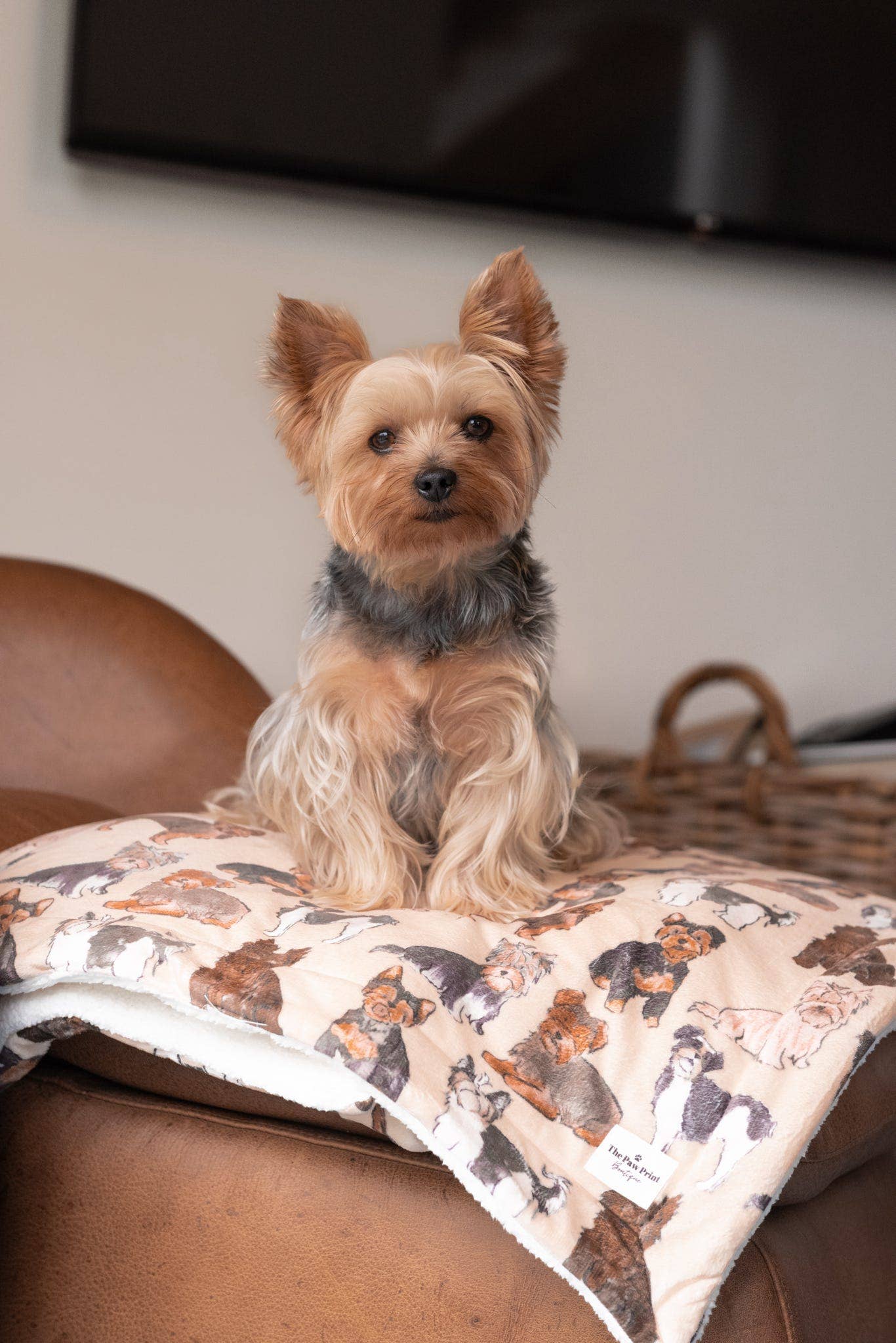 Yorkie Dog Blanket - Image 2